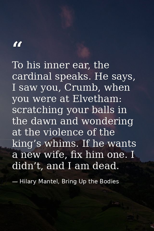 To his inner ear, the cardinal speaks. He says, I saw you, Crumb, when you were at Elvetham: scratching your balls in th — Hilary Mantel, Bring Up the Bodies