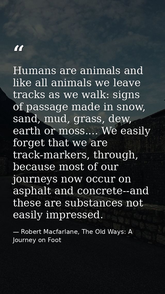 Humans are animals and like all animals we leave tracks as we walk: signs of passage made in snow, sand, mud, grass, dew — Robert Macfarlane, The Old Ways: A Journey on Foot