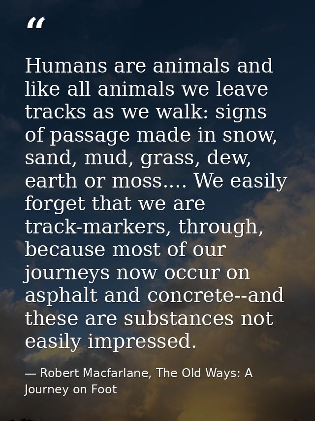 Humans are animals and like all animals we leave tracks as we walk: signs of passage made in snow, sand, mud, grass, dew — Robert Macfarlane, The Old Ways: A Journey on Foot