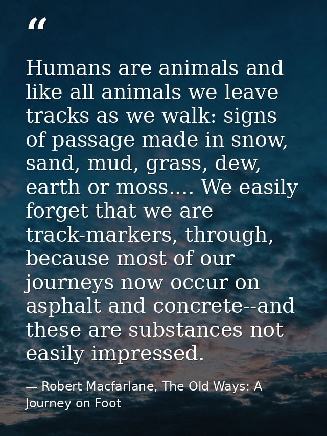 Humans are animals and like all animals we leave tracks as we walk: signs of passage made in snow, sand, mud, grass, dew — Robert Macfarlane, The Old Ways: A Journey on Foot