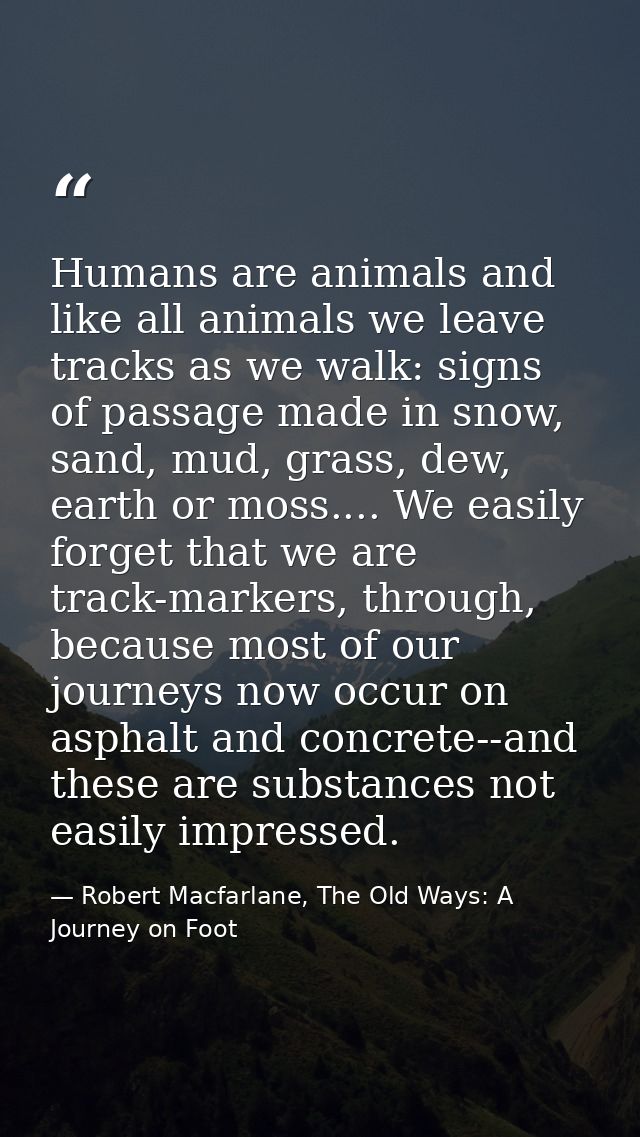 Humans are animals and like all animals we leave tracks as we walk: signs of passage made in snow, sand, mud, grass, dew — Robert Macfarlane, The Old Ways: A Journey on Foot