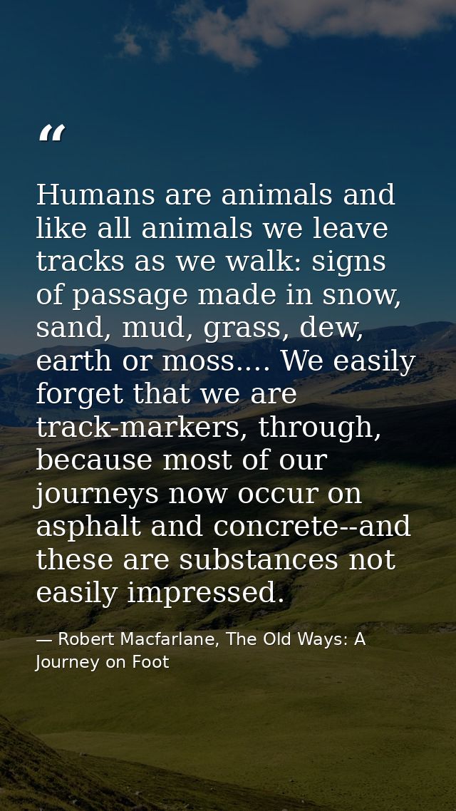 Humans are animals and like all animals we leave tracks as we walk: signs of passage made in snow, sand, mud, grass, dew — Robert Macfarlane, The Old Ways: A Journey on Foot