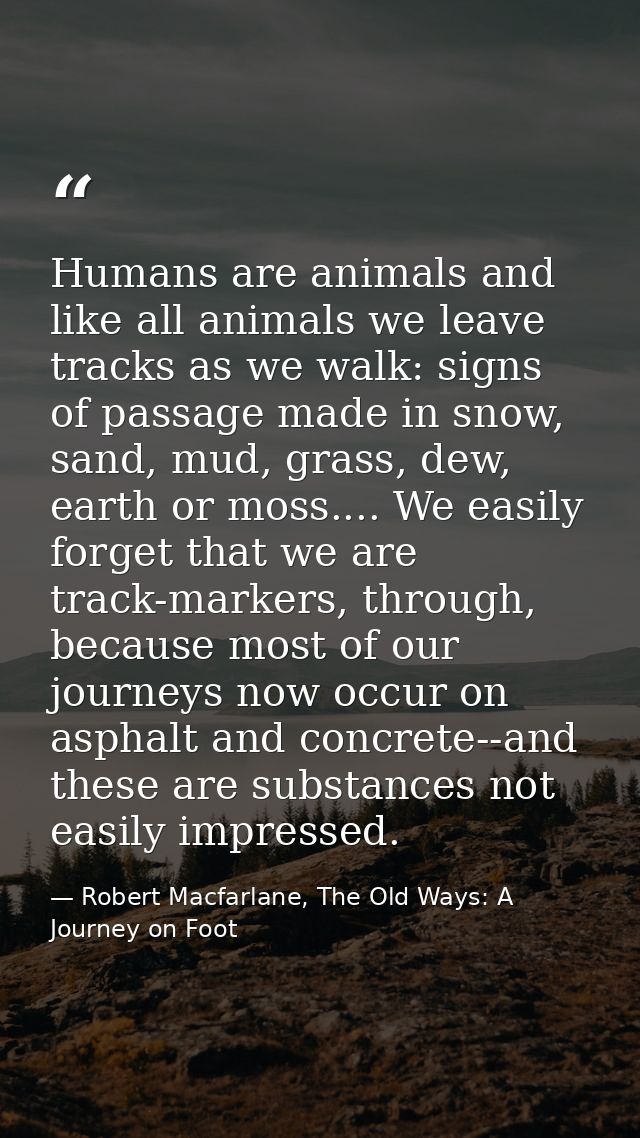 Humans are animals and like all animals we leave tracks as we walk: signs of passage made in snow, sand, mud, grass, dew — Robert Macfarlane, The Old Ways: A Journey on Foot