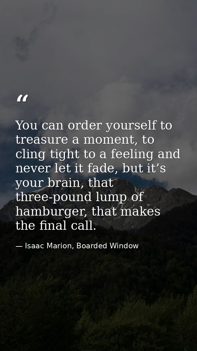 You can order yourself to treasure a moment, to cling tight to a feeling and never let it fade, but it’s your brain, tha — Isaac Marion, Boarded Window