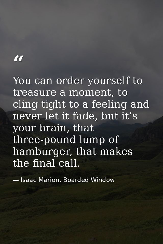 You can order yourself to treasure a moment, to cling tight to a feeling and never let it fade, but it’s your brain, tha — Isaac Marion, Boarded Window