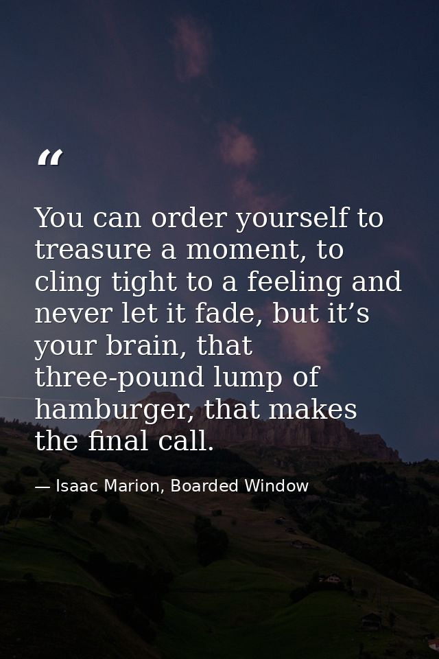 You can order yourself to treasure a moment, to cling tight to a feeling and never let it fade, but it’s your brain, tha — Isaac Marion, Boarded Window