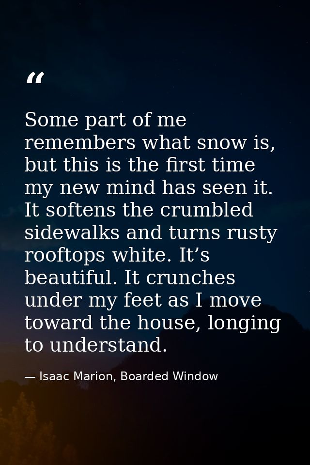 Some part of me remembers what snow is, but this is the first time my new mind has seen it. It softens the crumbled side — Isaac Marion, Boarded Window
