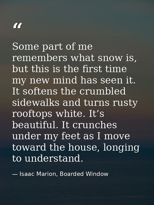 Some part of me remembers what snow is, but this is the first time my new mind has seen it. It softens the crumbled side — Isaac Marion, Boarded Window