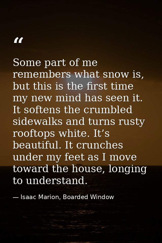 Some part of me remembers what snow is, but this is the first time my new mind has seen it. It softens the crumbled side — Isaac Marion, Boarded Window