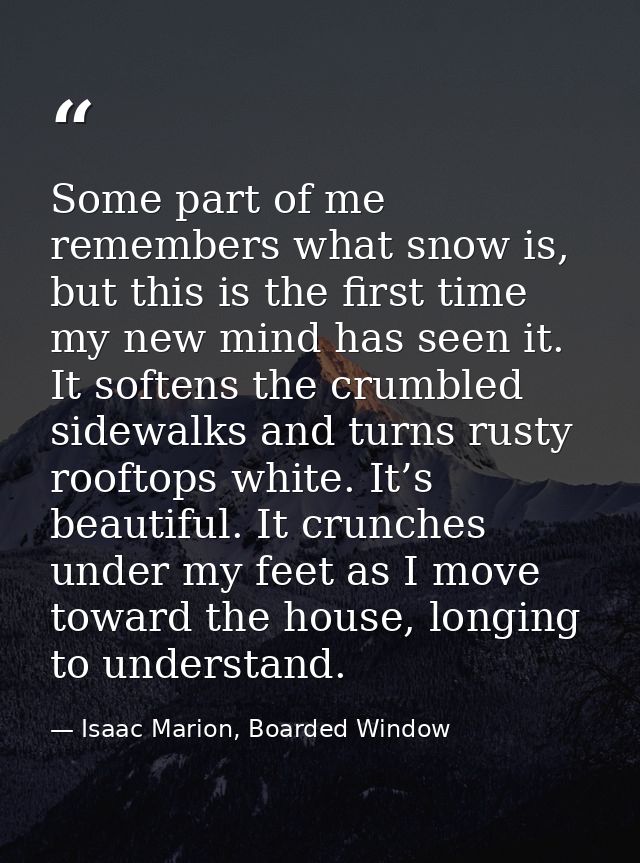 Some part of me remembers what snow is, but this is the first time my new mind has seen it. It softens the crumbled side — Isaac Marion, Boarded Window