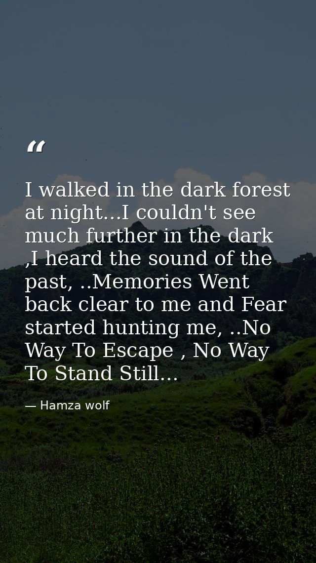 I walked in the dark forest at night...I couldn't see much further in the dark ,I heard the sound of the past, ..Memorie — Hamza wolf