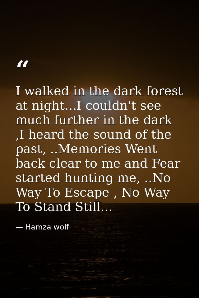 I walked in the dark forest at night...I couldn't see much further in the dark ,I heard the sound of the past, ..Memorie — Hamza wolf