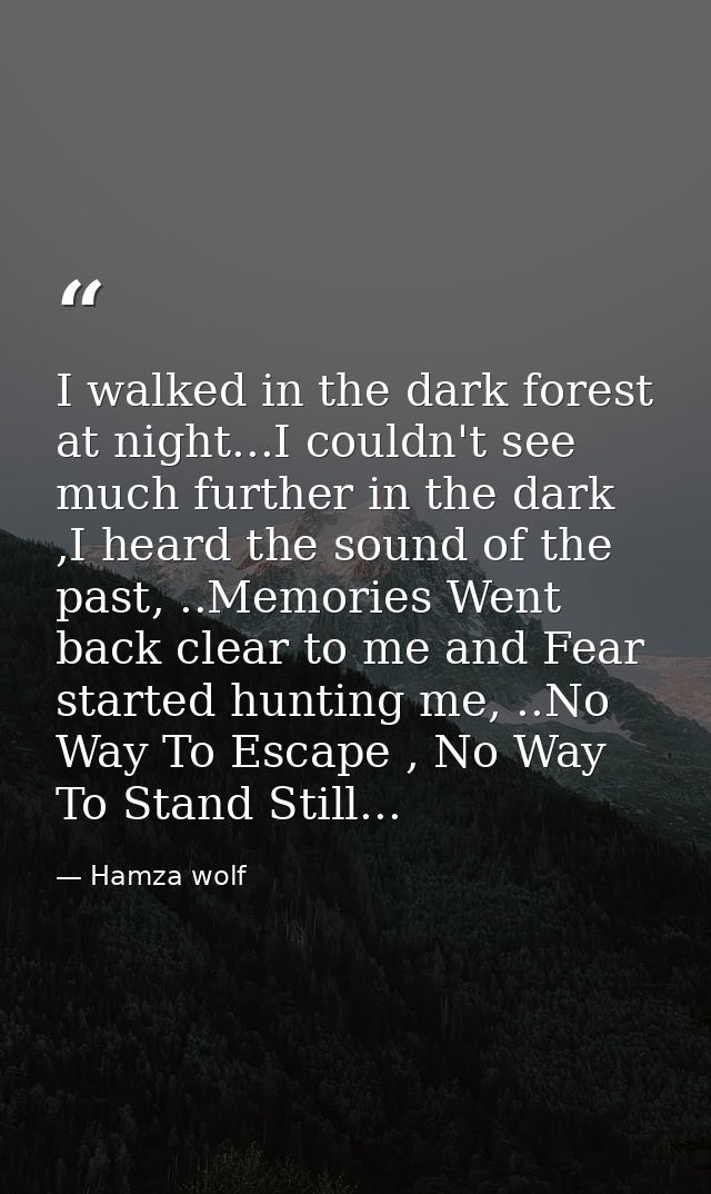 I walked in the dark forest at night...I couldn't see much further in the dark ,I heard the sound of the past, ..Memorie — Hamza wolf
