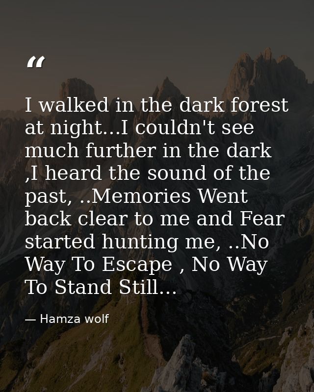 I walked in the dark forest at night...I couldn't see much further in the dark ,I heard the sound of the past, ..Memorie — Hamza wolf