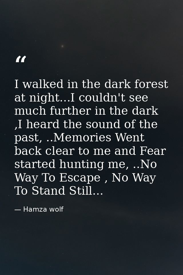 I walked in the dark forest at night...I couldn't see much further in the dark ,I heard the sound of the past, ..Memorie — Hamza wolf