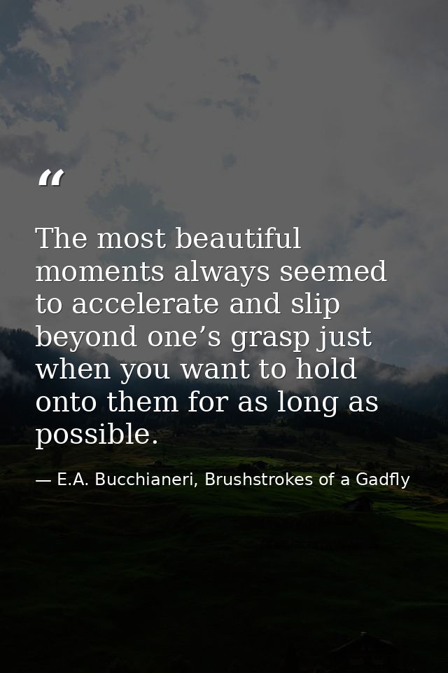 The most beautiful moments always seemed to accelerate and slip beyond one’s grasp just when you want to hold onto them  — E.A. Bucchianeri, Brushstrokes of a Gadfly