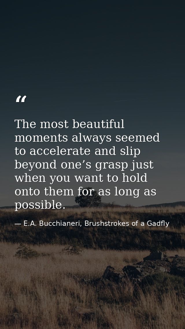 The most beautiful moments always seemed to accelerate and slip beyond one’s grasp just when you want to hold onto them  — E.A. Bucchianeri, Brushstrokes of a Gadfly