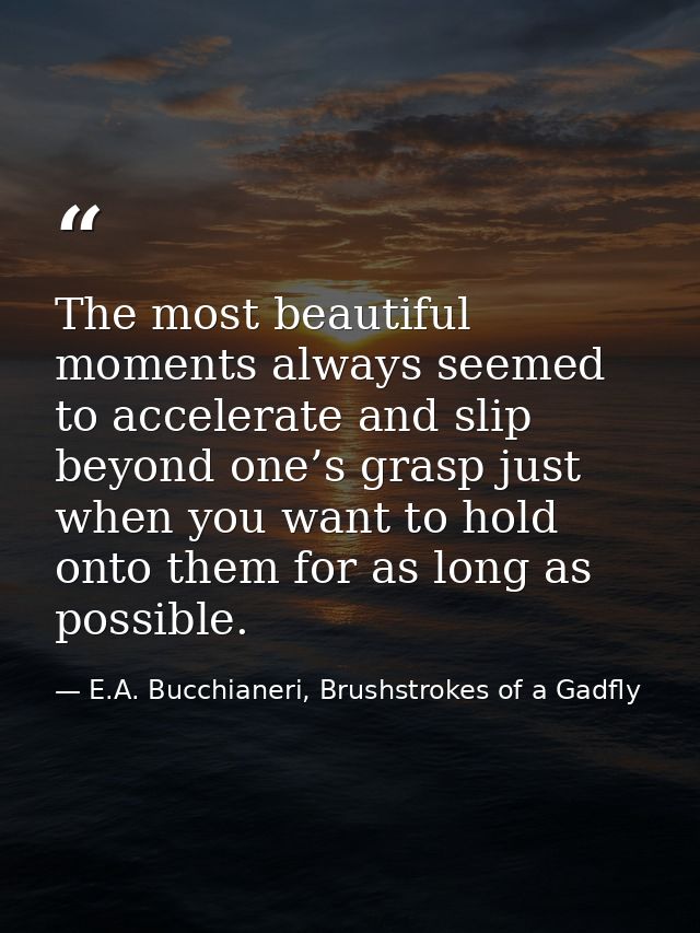 The most beautiful moments always seemed to accelerate and slip beyond one’s grasp just when you want to hold onto them  — E.A. Bucchianeri, Brushstrokes of a Gadfly