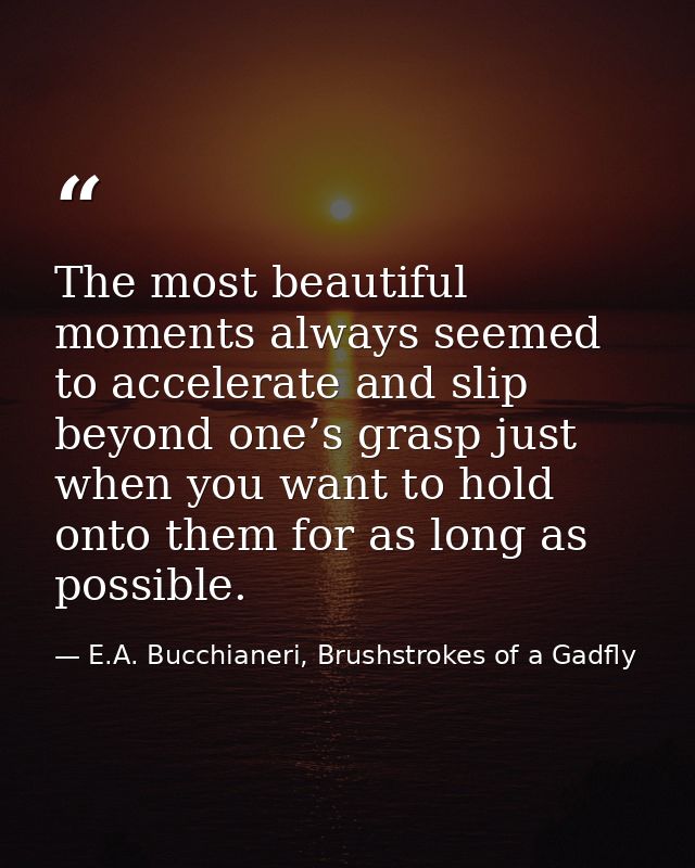The most beautiful moments always seemed to accelerate and slip beyond one’s grasp just when you want to hold onto them  — E.A. Bucchianeri, Brushstrokes of a Gadfly