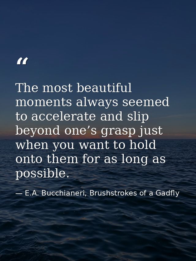 The most beautiful moments always seemed to accelerate and slip beyond one’s grasp just when you want to hold onto them  — E.A. Bucchianeri, Brushstrokes of a Gadfly