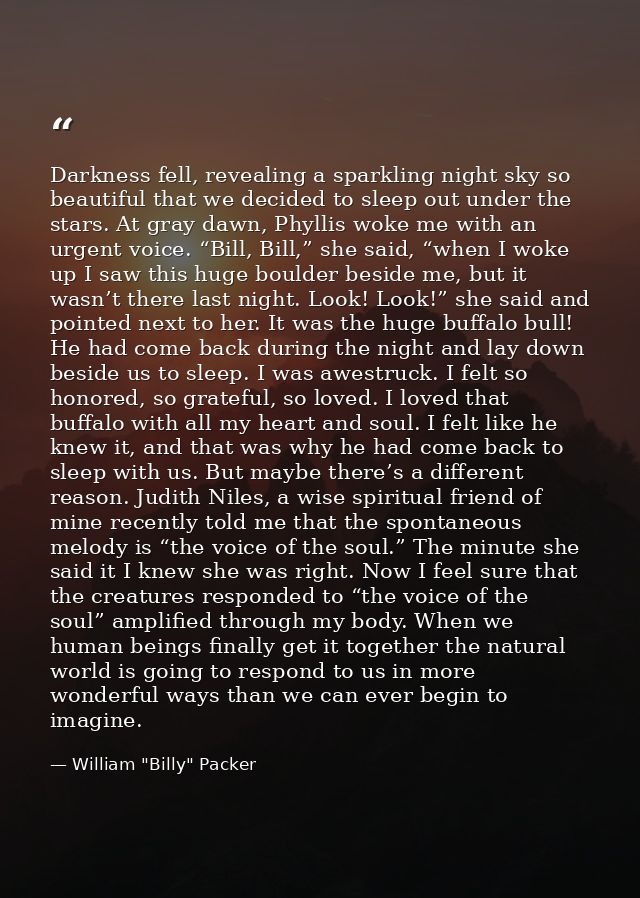 Darkness fell, revealing a sparkling night sky so beautiful that we decided to sleep out under the stars. At gray dawn,  — William "Billy" Packer