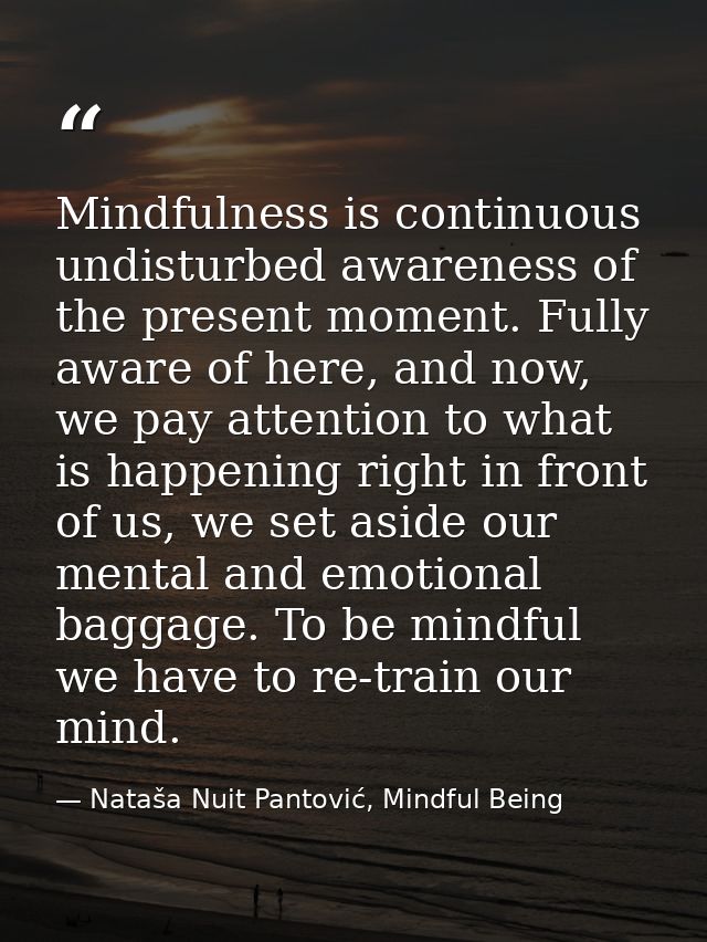 Mindfulness is continuous undisturbed awareness of the present moment. Fully aware of here, and now, we pay attention to — Nataša Nuit Pantović, Mindful Being