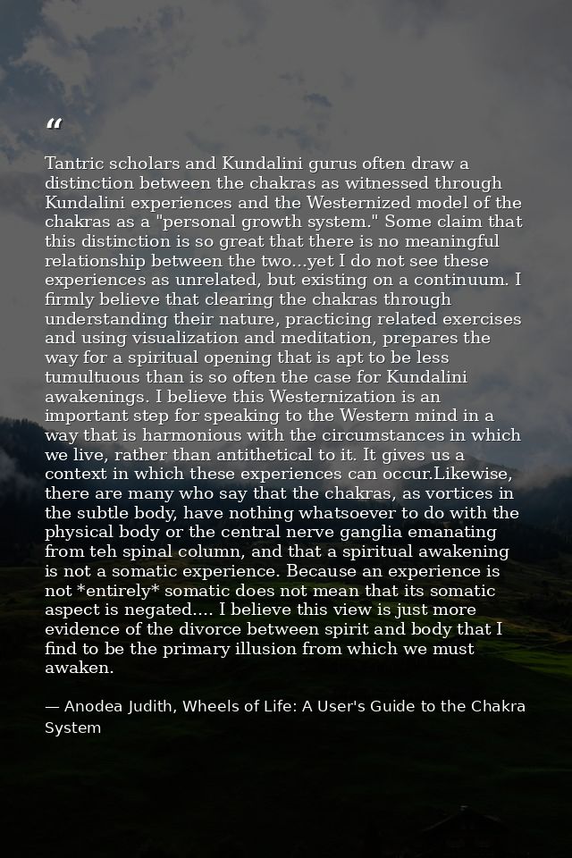 Tantric scholars and Kundalini gurus often draw a distinction between the chakras as witnessed through Kundalini experie — Anodea Judith, Wheels of Life: A User's Guide to the Chakra System