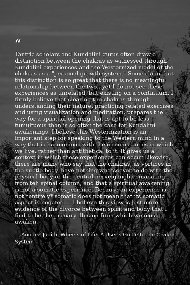Tantric scholars and Kundalini gurus often draw a distinction between the chakras as witnessed through Kundalini experie — Anodea Judith, Wheels of Life: A User's Guide to the Chakra System