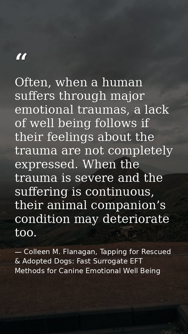 Often, when a human suffers through major emotional traumas, a lack of well being follows if their feelings about the tr — Colleen M. Flanagan, Tapping for Rescued & Adopted Dogs: Fast Surrogate EFT Methods for Canine Emotional Well Being