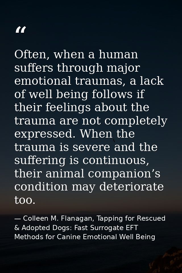 Often, when a human suffers through major emotional traumas, a lack of well being follows if their feelings about the tr — Colleen M. Flanagan, Tapping for Rescued & Adopted Dogs: Fast Surrogate EFT Methods for Canine Emotional Well Being