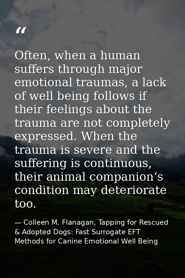 Often, when a human suffers through major emotional traumas, a lack of well being follows if their feelings about the tr — Colleen M. Flanagan, Tapping for Rescued & Adopted Dogs: Fast Surrogate EFT Methods for Canine Emotional Well Being