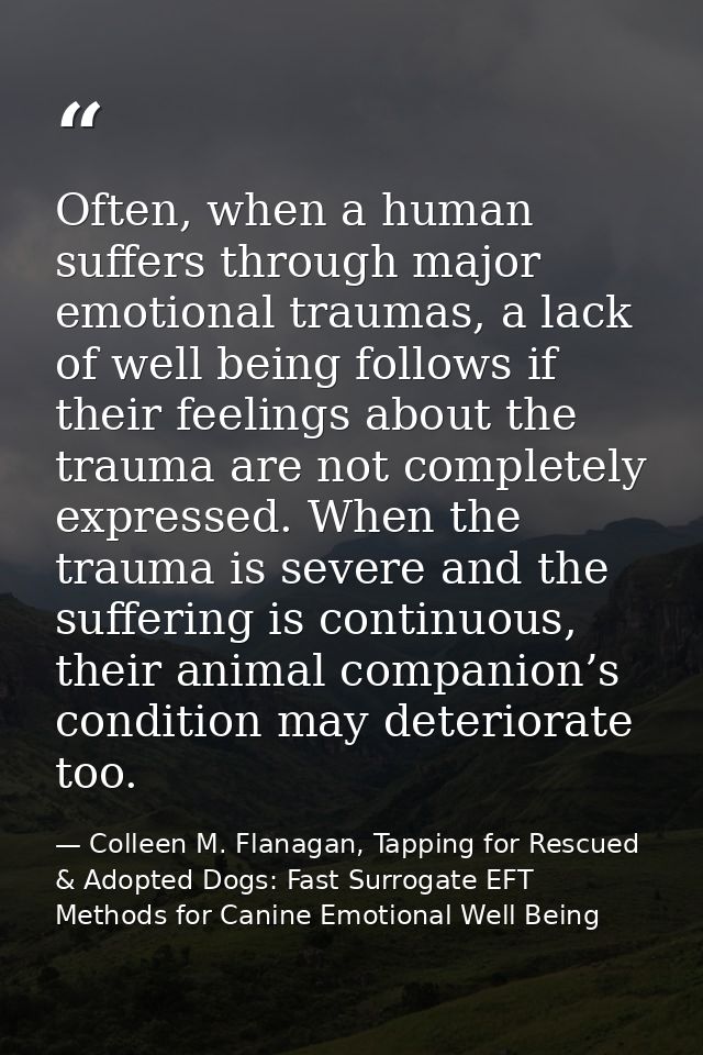 Often, when a human suffers through major emotional traumas, a lack of well being follows if their feelings about the tr — Colleen M. Flanagan, Tapping for Rescued & Adopted Dogs: Fast Surrogate EFT Methods for Canine Emotional Well Being