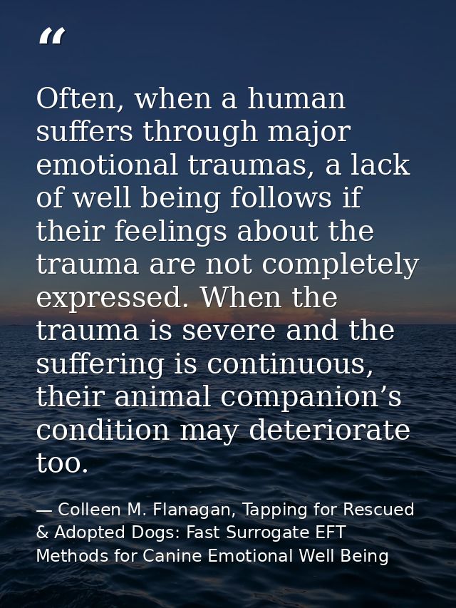 Often, when a human suffers through major emotional traumas, a lack of well being follows if their feelings about the tr — Colleen M. Flanagan, Tapping for Rescued & Adopted Dogs: Fast Surrogate EFT Methods for Canine Emotional Well Being