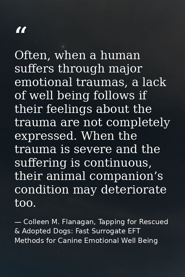 Often, when a human suffers through major emotional traumas, a lack of well being follows if their feelings about the tr — Colleen M. Flanagan, Tapping for Rescued & Adopted Dogs: Fast Surrogate EFT Methods for Canine Emotional Well Being