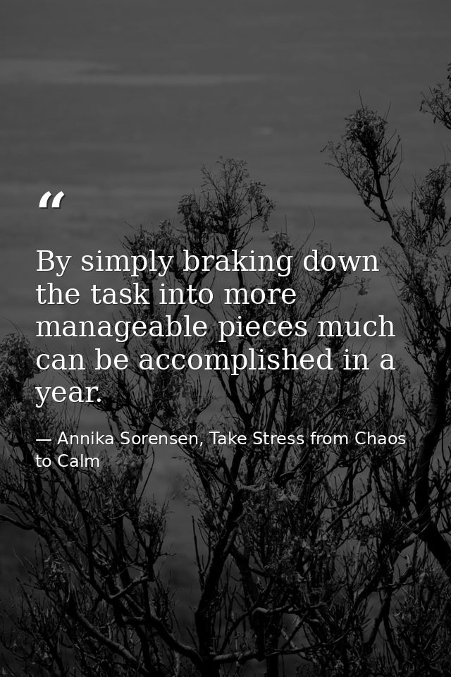 By simply braking down the task into more manageable pieces much can be accomplished in a year. — Annika Sorensen, Take Stress from Chaos to Calm