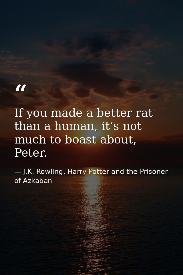 If you made a better rat than a human, it’s not much to boast about, Peter. — J.K. Rowling, Harry Potter and the Prisoner of Azkaban