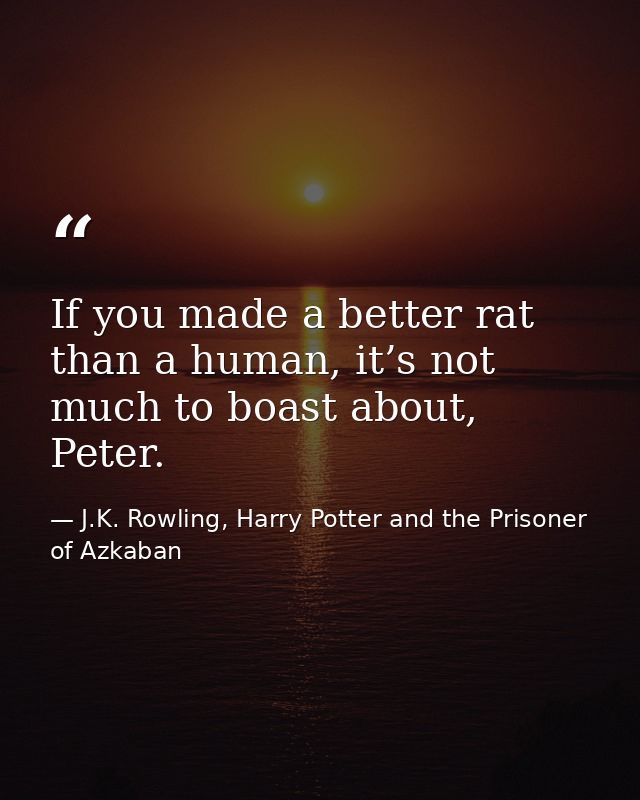 If you made a better rat than a human, it’s not much to boast about, Peter. — J.K. Rowling, Harry Potter and the Prisoner of Azkaban