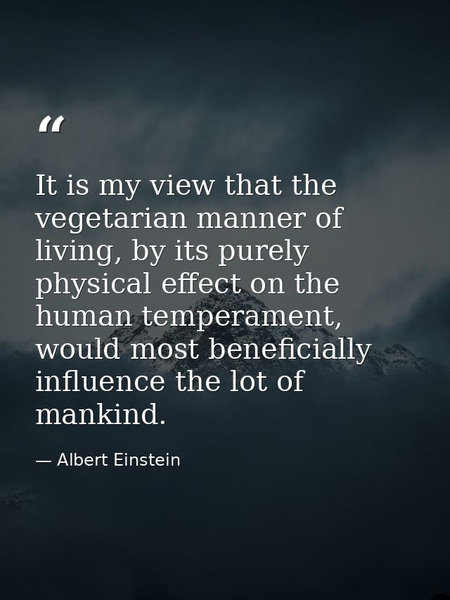 It is my view that the vegetarian manner of living, by its purely physical effect on the human temperament, would most b — Albert Einstein