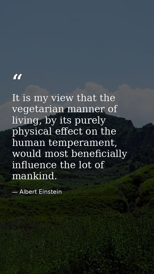 It is my view that the vegetarian manner of living, by its purely physical effect on the human temperament, would most b — Albert Einstein