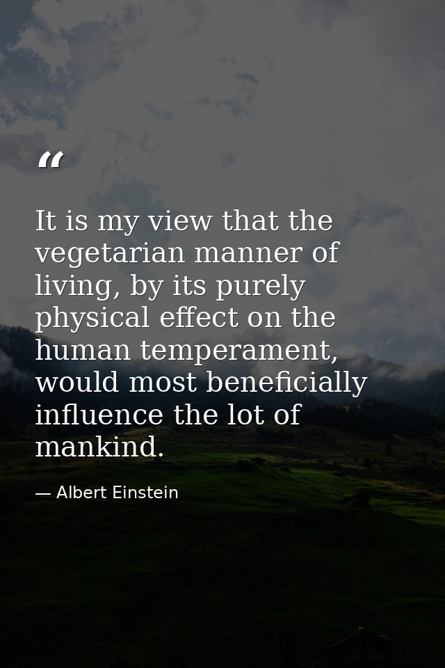 It is my view that the vegetarian manner of living, by its purely physical effect on the human temperament, would most b — Albert Einstein