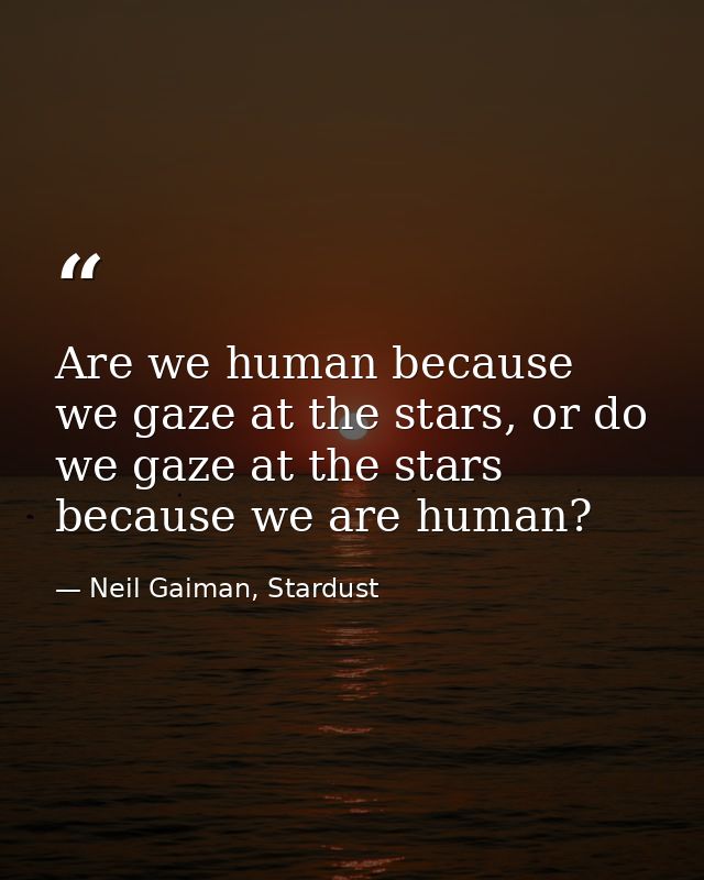Are we human because we gaze at the stars, or do we gaze at the stars because we are human? — Neil Gaiman, Stardust
