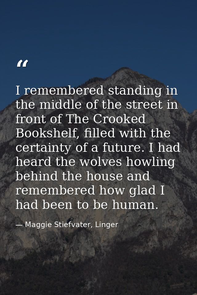 I remembered standing in the middle of the street in front of The Crooked Bookshelf, filled with the certainty of a futu — Maggie Stiefvater, Linger