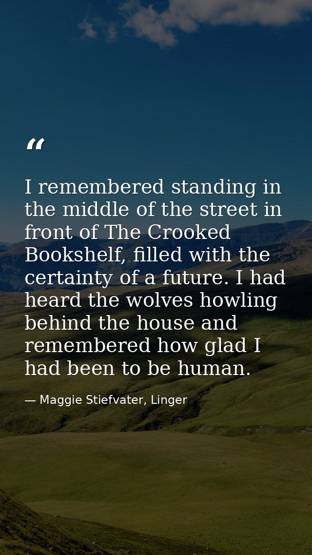 I remembered standing in the middle of the street in front of The Crooked Bookshelf, filled with the certainty of a futu — Maggie Stiefvater, Linger