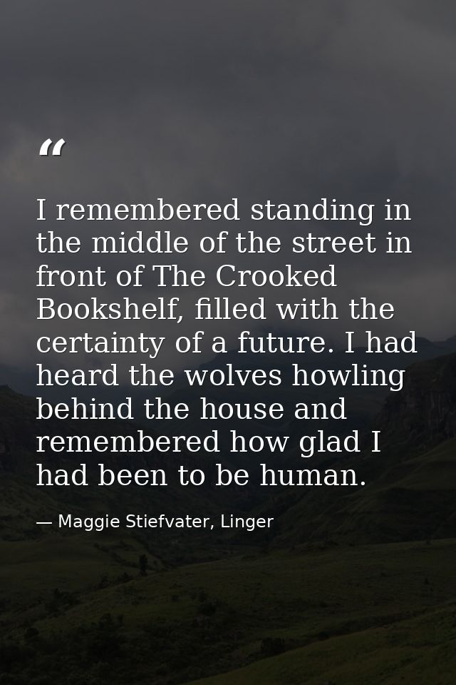 I remembered standing in the middle of the street in front of The Crooked Bookshelf, filled with the certainty of a futu — Maggie Stiefvater, Linger