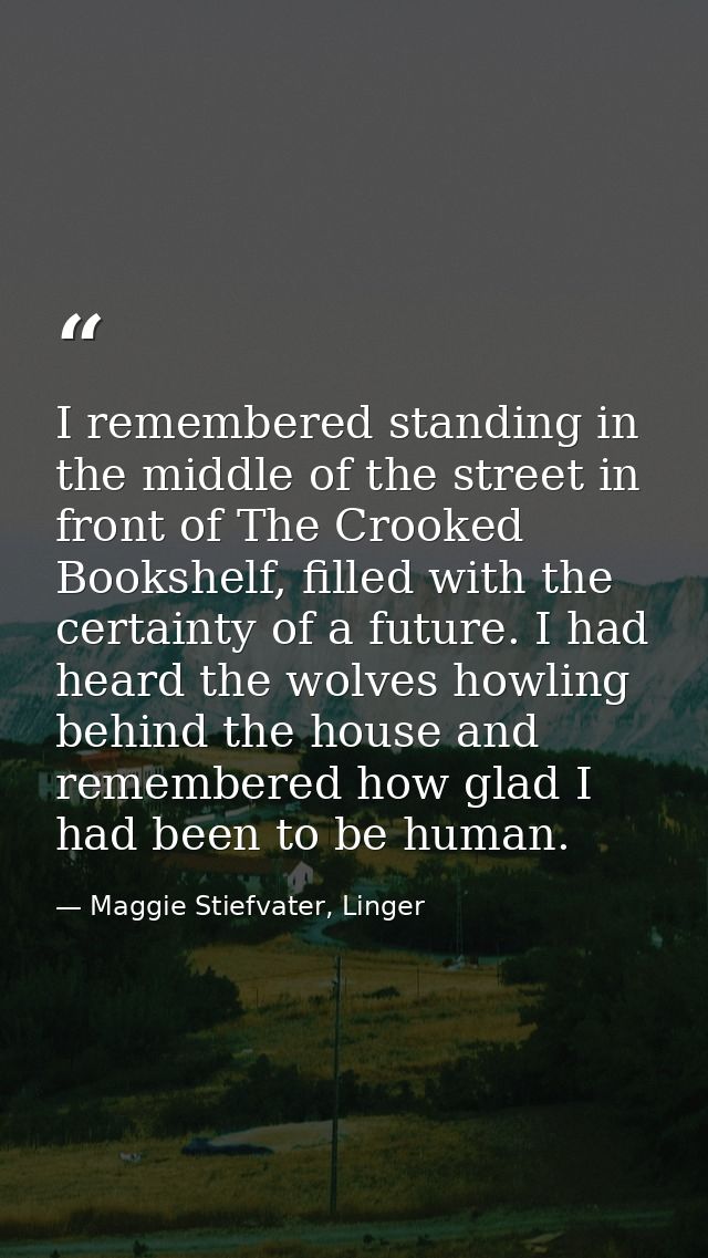 I remembered standing in the middle of the street in front of The Crooked Bookshelf, filled with the certainty of a futu — Maggie Stiefvater, Linger