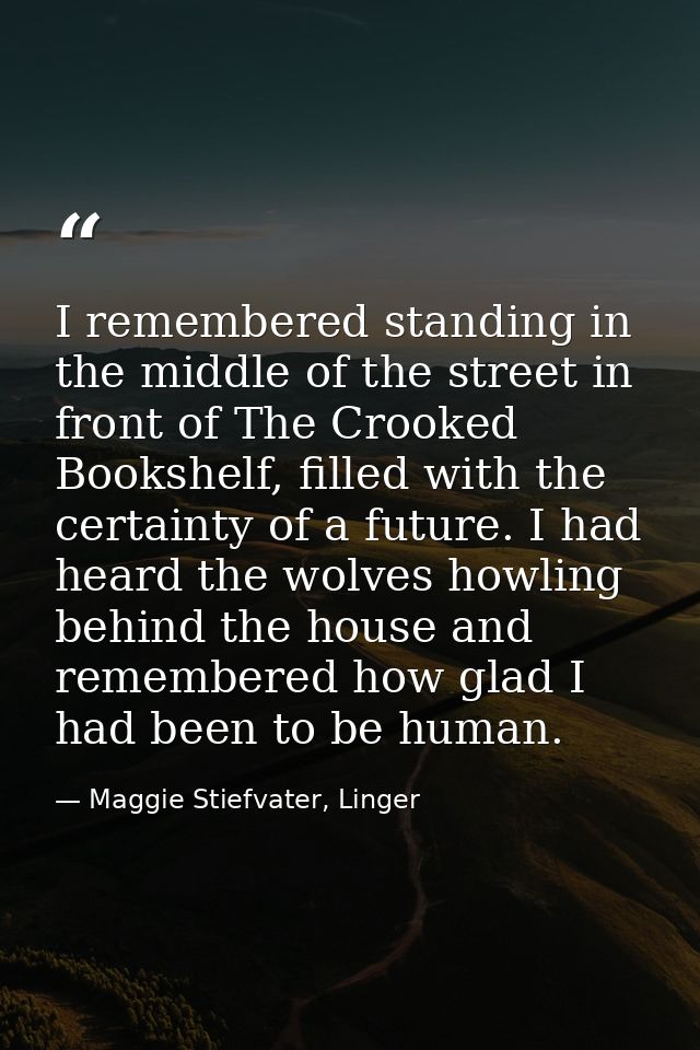 I remembered standing in the middle of the street in front of The Crooked Bookshelf, filled with the certainty of a futu — Maggie Stiefvater, Linger