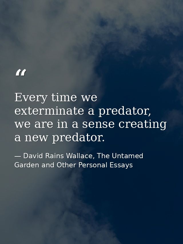 Every time we exterminate a predator, we are in a sense creating a new predator. — David Rains Wallace, The Untamed Garden and Other Personal Essays