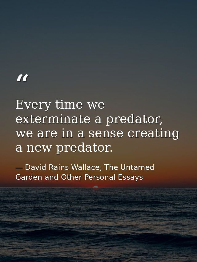 Every time we exterminate a predator, we are in a sense creating a new predator. — David Rains Wallace, The Untamed Garden and Other Personal Essays