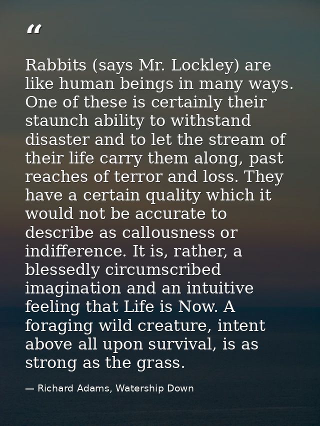 Rabbits (says Mr. Lockley) are like human beings in many ways. One of these is certainly their staunch ability to withst — Richard Adams, Watership Down