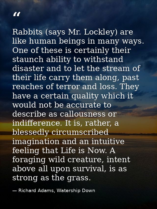 Rabbits (says Mr. Lockley) are like human beings in many ways. One of these is certainly their staunch ability to withst — Richard Adams, Watership Down